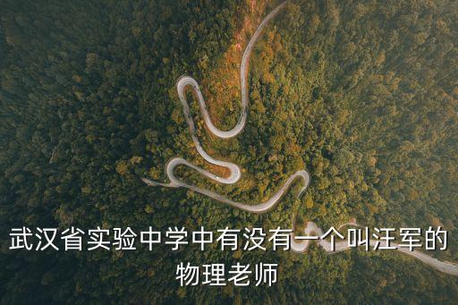 汪軍，武漢省實(shí)驗(yàn)中學(xué)中有沒(méi)有一個(gè)叫汪軍的物理老師