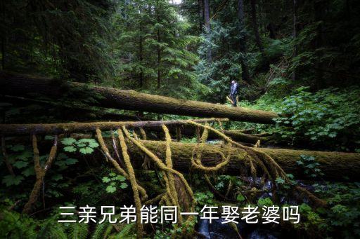 兄弟三個(gè)娶一個(gè)媳婦，三親兄弟能同一年娶老婆嗎