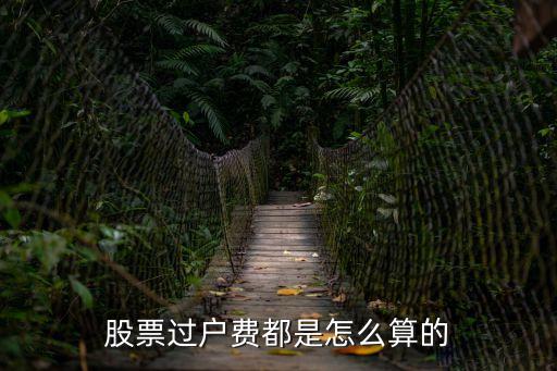 股票過戶費(fèi)，股市的過戶費(fèi)是什么意思