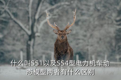 ss4型電力機車，什么叫SS1以及SS4型電力機車動態(tài)模型兩者有什么區(qū)別
