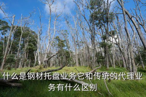 托盤業(yè)務(wù)，在上海專業(yè)從事國(guó)內(nèi)鋼貿(mào)代理墊資托盤業(yè)務(wù)的公司有哪些他們的費(fèi)用