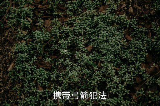 弓箭違法嗎，攜帶弓箭犯法