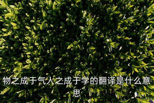物之成于氣人之成于學(xué)的翻譯是什么意思