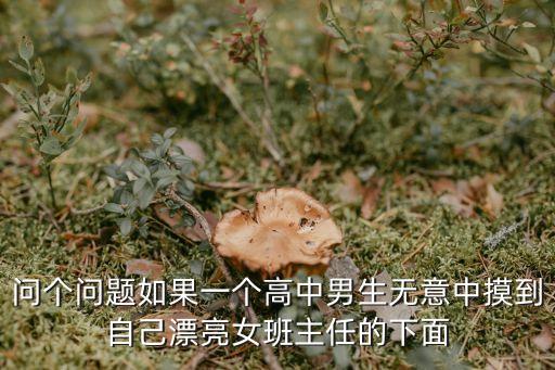 問個問題如果一個高中男生無意中摸到自己漂亮女班主任的下面