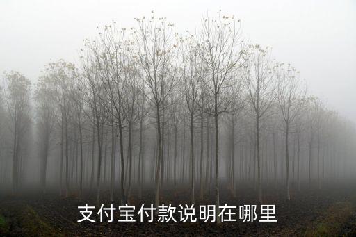 付款說(shuō)明，交款說(shuō)明怎么寫