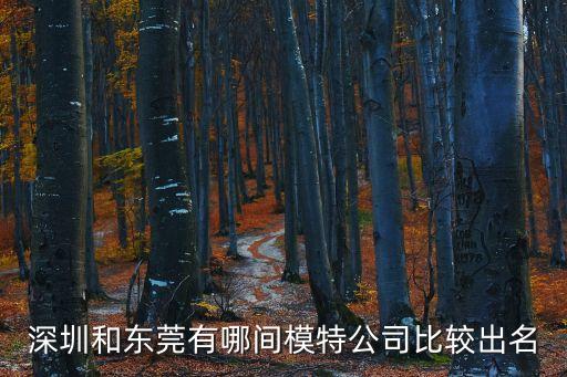 深圳和東莞有哪間模特公司比較出名