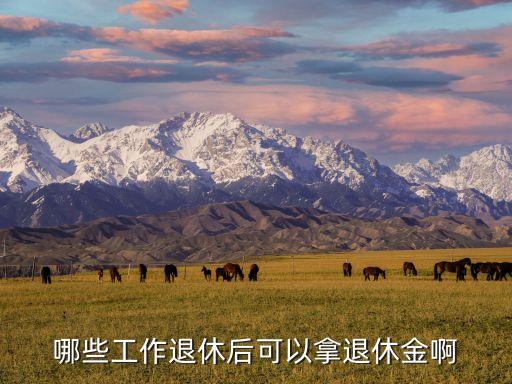 哪些工作退休后可以拿退休金啊