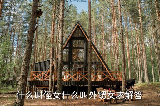 什么叫侄女什么叫外甥女求解答
