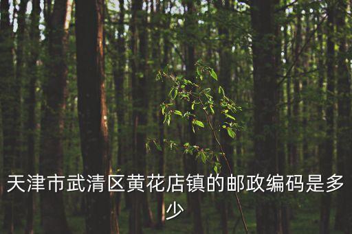 天津市武清區(qū)黃花店鎮(zhèn)的郵政編碼是多少