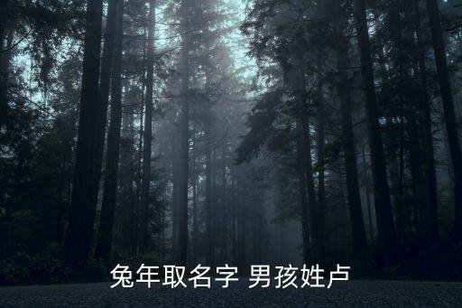 盧慶，盧慶英文名怎么寫