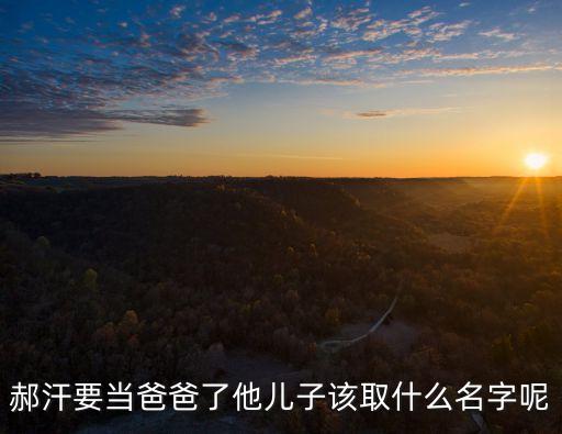 郝汗要當爸爸了他兒子該取什么名字呢