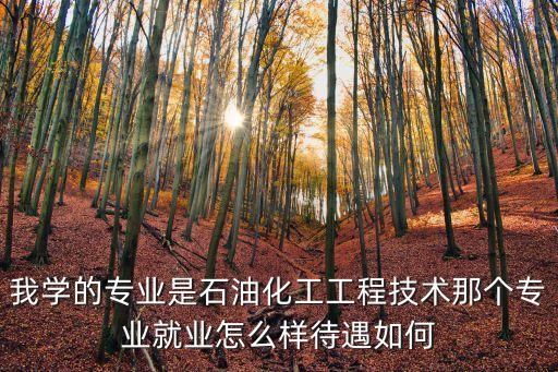 我學的專業(yè)是石油化工工程技術(shù)那個專業(yè)就業(yè)怎么樣待遇如何