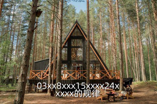 03xx8xxx15xxxx24xxxxx的規(guī)律