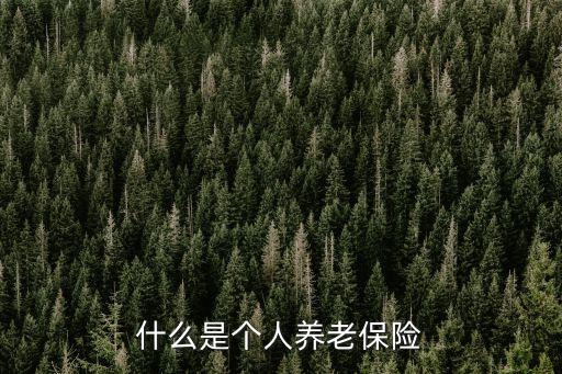 什么是個(gè)人養(yǎng)老保險(xiǎn)