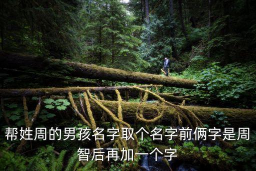 幫姓周的男孩名字取個(gè)名字前倆字是周智后再加一個(gè)字