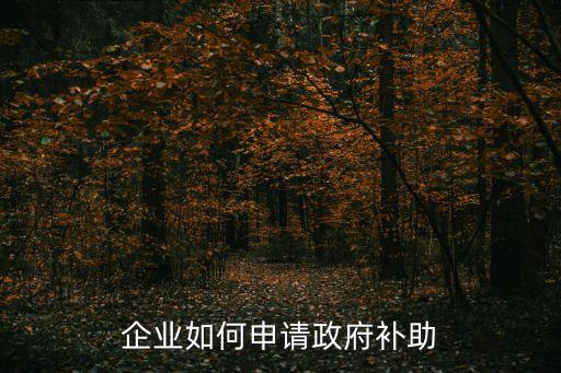 企業(yè)如何申請政府補助