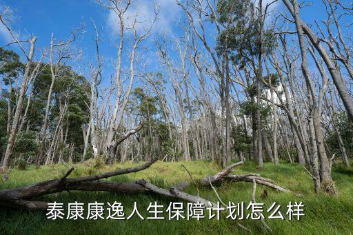 康逸，泰康康逸人生保障計劃怎么樣