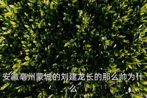 安徽亳州蒙城的劉建龍長的那么帥為什么
