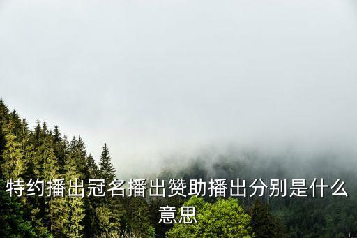 冠名贊助，特約播出冠名播出贊助播出分別是什么意思