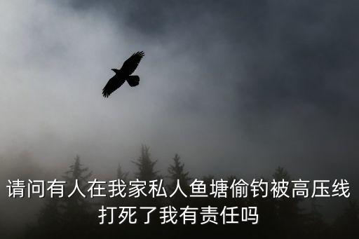 請(qǐng)問(wèn)有人在我家私人魚塘偷釣被高壓線打死了我有責(zé)任嗎