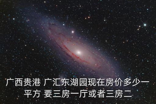 廣西貴港 廣匯東湖園現(xiàn)在房?jī)r(jià)多少一平方 要三房一廳或者三房二