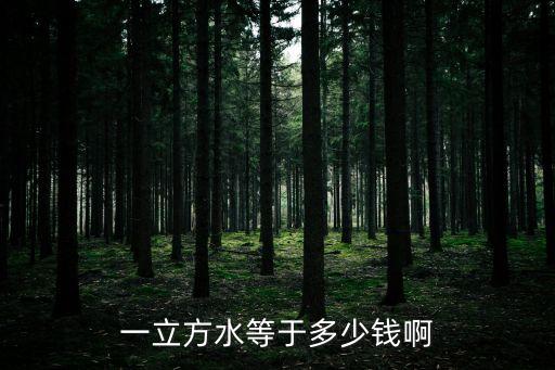 一立方水等于多少錢啊