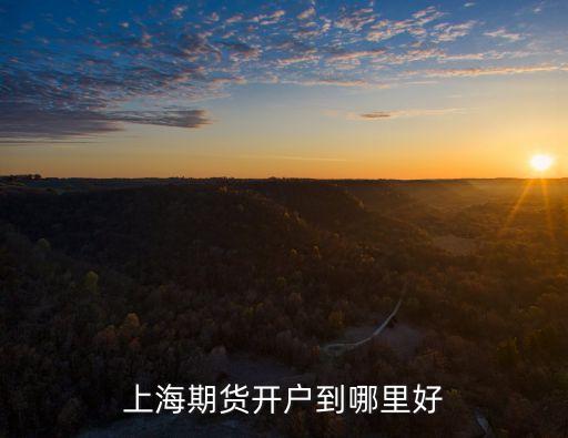 上海期貨開戶，怎么辦理上海期貨交易所的賬戶