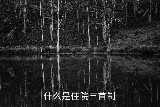 首診負(fù)責(zé)制，什么是住院三首制