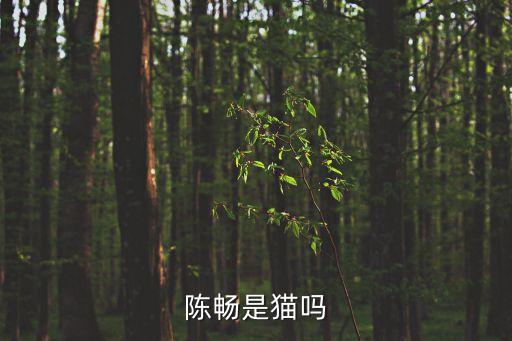 陳暢是貓嗎