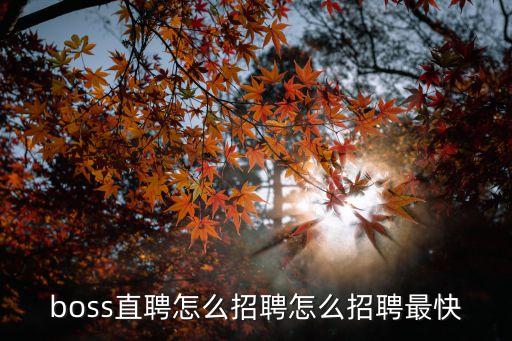 boss直聘怎么招聘怎么招聘最快