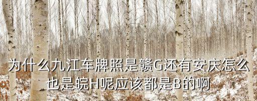 九江車(chē)牌，為什么九江車(chē)牌照是贛G還有安慶怎么也是皖H呢應(yīng)該都是B的啊