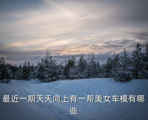 蔡玥，最近一期天天向上有一幫美女車模有哪些