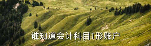 T型賬戶，T型賬戶的借方和貸方是什么意思