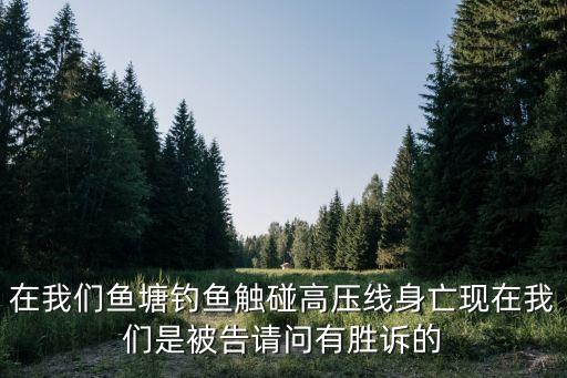 偷釣魚觸碰高壓線，在我們魚塘釣魚觸碰高壓線身亡現(xiàn)在我們是被告請(qǐng)問(wèn)有勝訴的