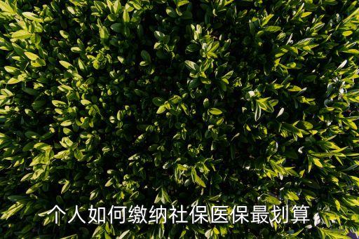 個(gè)人如何繳納社保醫(yī)保最劃算