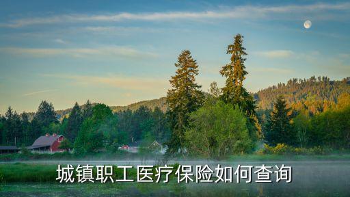 職工社保查詢，企業(yè)網上如何查社保