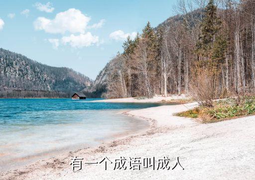 成人xxxx，共八十個人成人x兒童xxx解方程