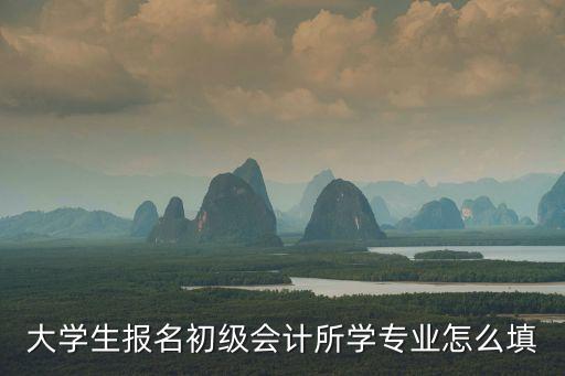 大學生報名初級會計所學專業(yè)怎么填