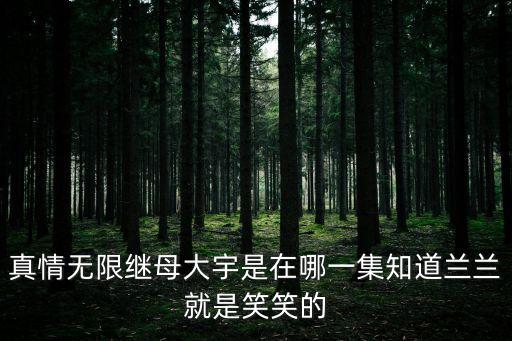 真情無(wú)限繼母大宇是在哪一集知道蘭蘭就是笑笑的
