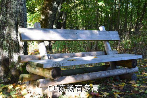 陳暢，CC陳暢有多高