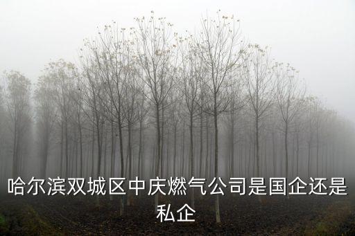 哈爾濱雙城區(qū)中慶燃氣公司是國企還是私企
