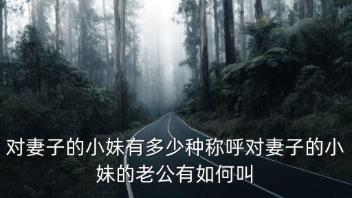 女人的小妹妹，女人的小妹妹出白漿是什么意思