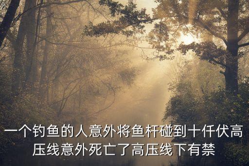 一個(gè)釣魚的人意外將魚桿碰到十仟伏高壓線意外死亡了高壓線下有禁