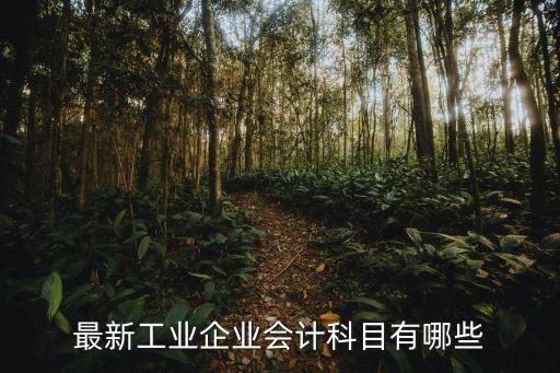 工業(yè)企業(yè)會計，工業(yè)企業(yè)會計工作內(nèi)容是什么