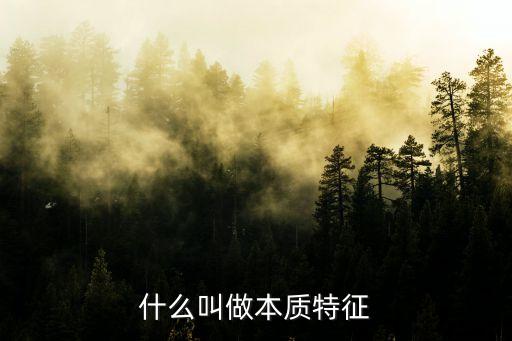 本質(zhì)特征，人個(gè)本質(zhì)特征是什么