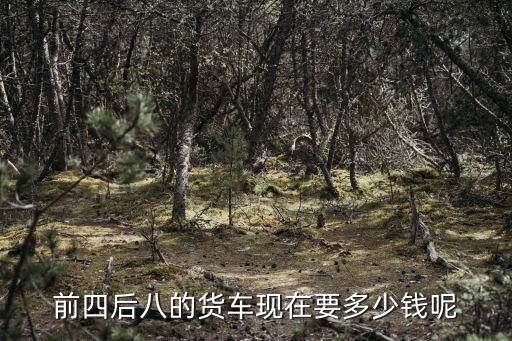 前四后八的貨車現(xiàn)在要多少錢呢