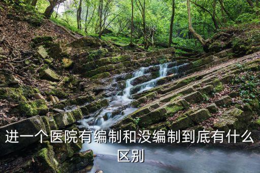 進一個醫(yī)院有編制和沒編制到底有什么區(qū)別