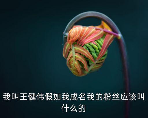 我叫王健偉假如我成名我的粉絲應(yīng)該叫什么的