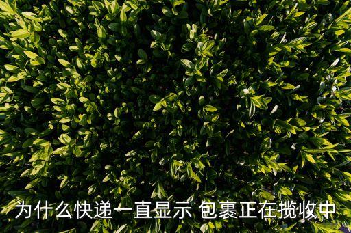 快遞一直顯示等待攬收，快遞一直顯示正在等待攬收 客服還不理人 該怎么辦