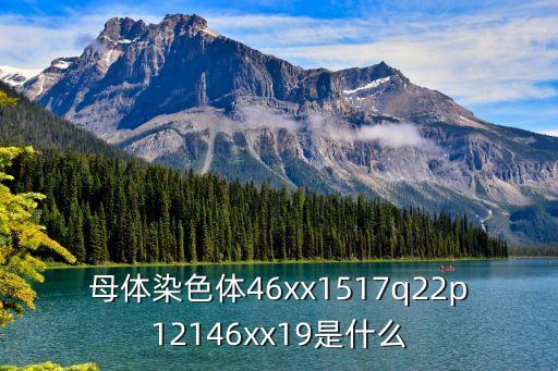 xx19，母體染色體46xx1517q22p12146xx19是什么